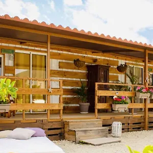 https://bernegal-moneyba-hot-tub-climatizado-piscina-y-jardin.in-canary-islands.com