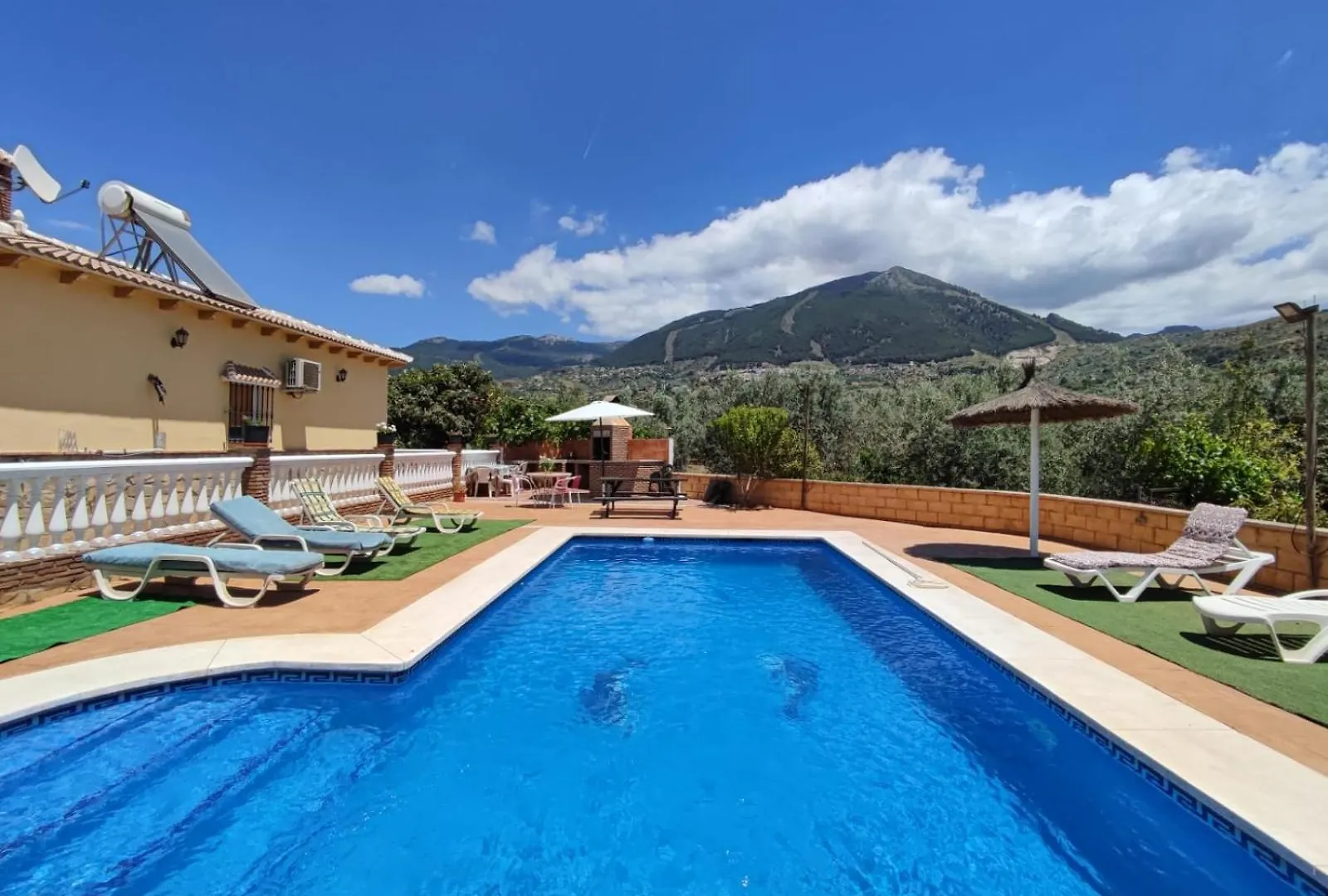 Los Olivos Málaga